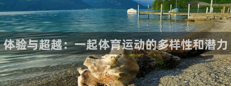 天天体育记者邓羽