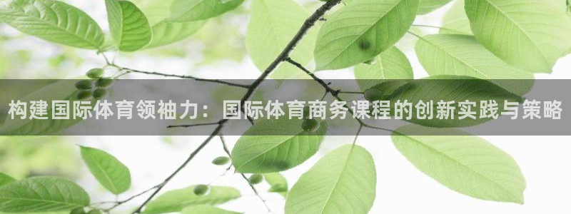 天天体育ufc：构建国际体育领袖力：国际体育商务课程的创新实践与策略