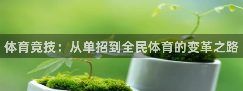 天天体育三分球节目最新一期