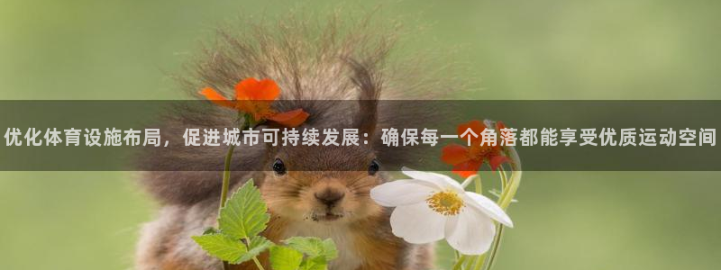 天天体育播出时间